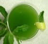 PUDINA PANI