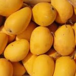 mango kheer